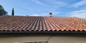 Roy Du Démoussage Roy Du Démoussage