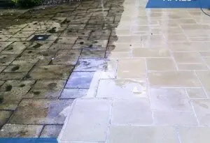 Roy Du Démoussage Roy Du Démoussage