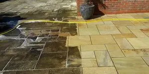 Roy Du Démoussage Roy Du Démoussage